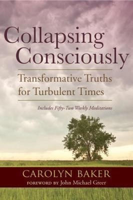 Cover: 9781583947128 | Collapsing Consciously | Transformative Truths for Turbulent Times