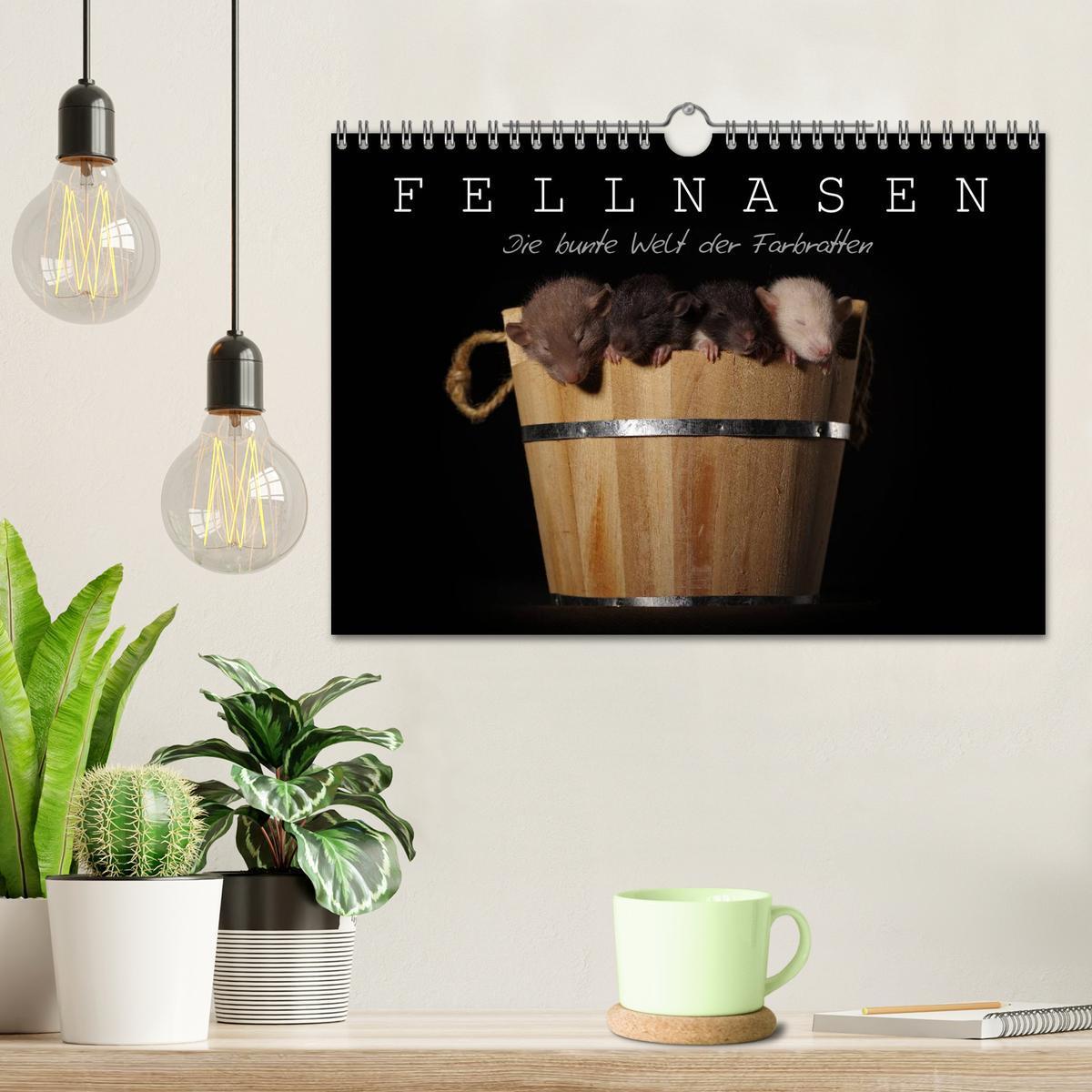 Bild: 9783435657100 | Fellnasen. Die bunte Welt der Farbratten. (Wandkalender 2025 DIN A4...