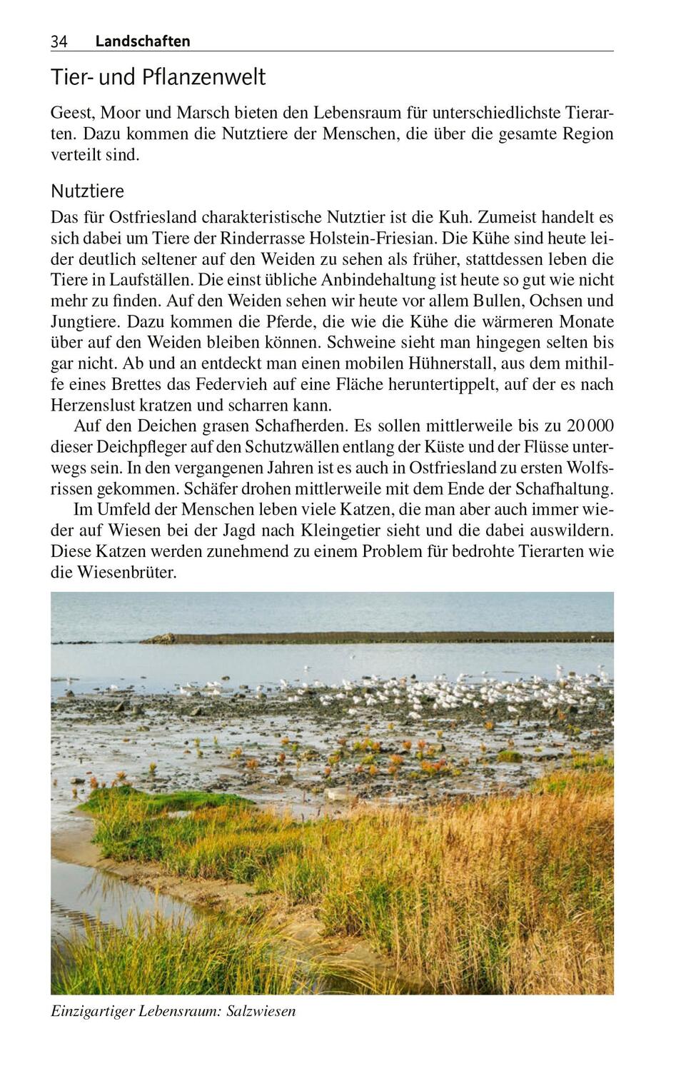 Bild: 9783897946415 | TRESCHER Reiseführer Ostfriesland | Enno Wiese | Taschenbuch | 328 S.