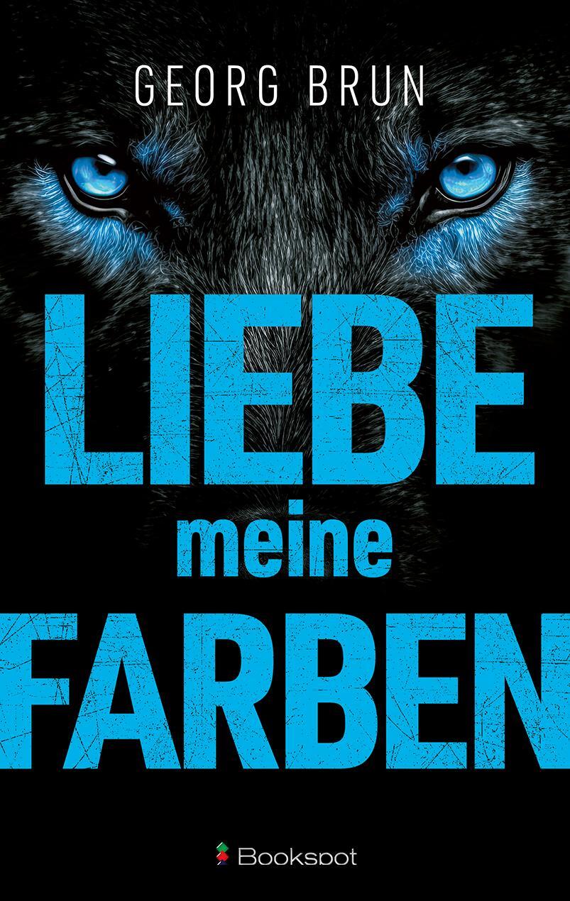 Cover: 9783956692000 | Liebe meine Farben | Georg Brun | Taschenbuch | Edition 211 | 312 S.