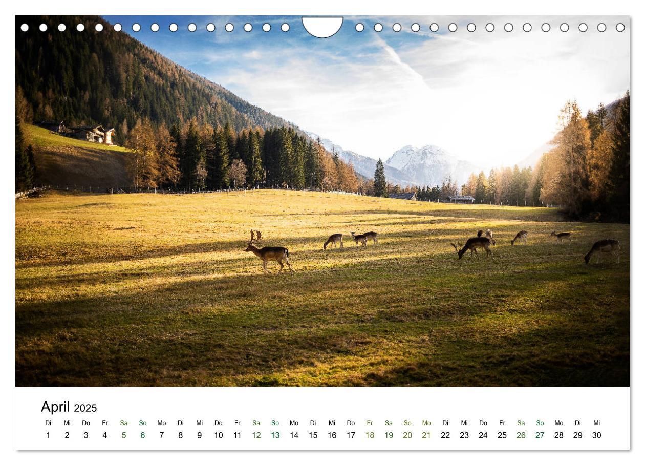 Bild: 9783435274703 | Ultental - Ein Jahr in Bildern (Wandkalender 2025 DIN A4 quer),...