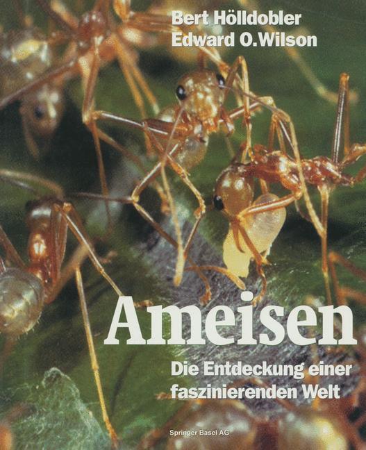Cover: 9783034863735 | Ameisen | Die Entdeckung einer faszinierenden Welt | Taschenbuch