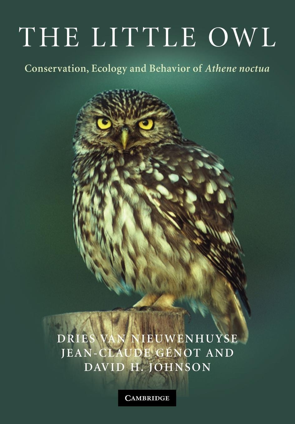 Cover: 9780521714204 | The Little Owl | Conservation, Ecology and Behavior of Athene Noctua