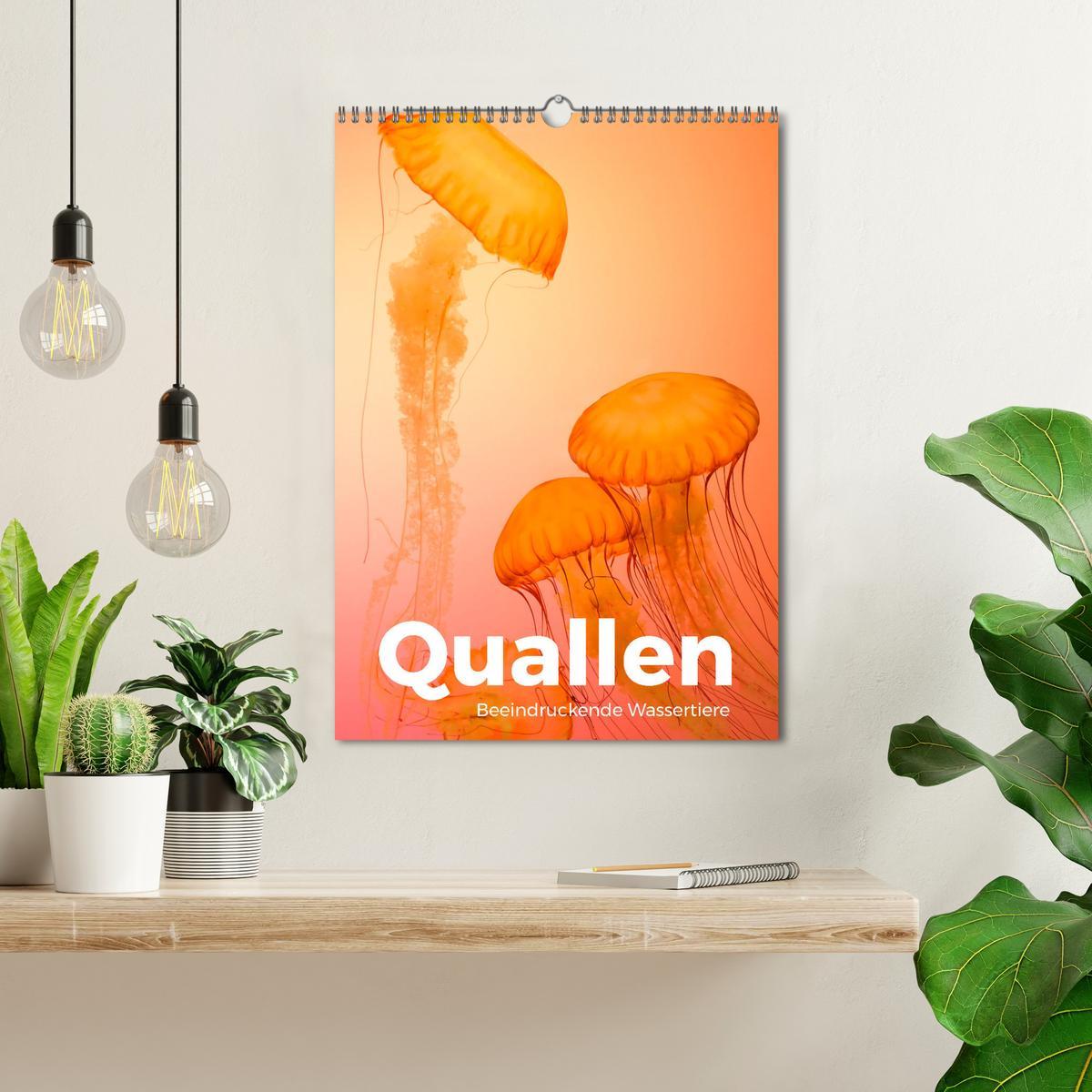 Bild: 9783435914807 | Quallen - Beeindruckende Wassertiere (Wandkalender 2025 DIN A3...