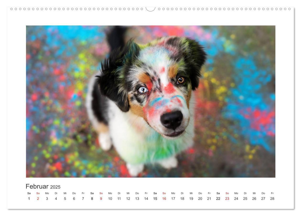 Bild: 9783435177400 | Herzensaussies - Australian Shepherd (hochwertiger Premium...