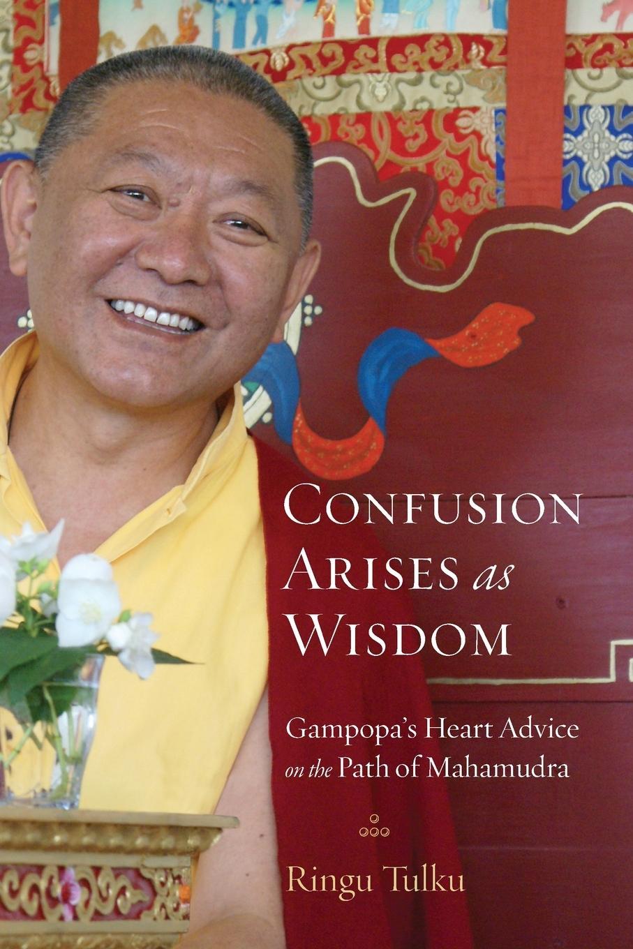 Cover: 9781590309957 | Confusion Arises as Wisdom | Ringu Tulku | Taschenbuch | Paperback