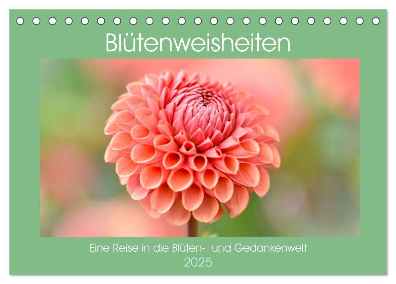 Cover: 9783435062010 | Blütenweisheiten (Tischkalender 2025 DIN A5 quer), CALVENDO...