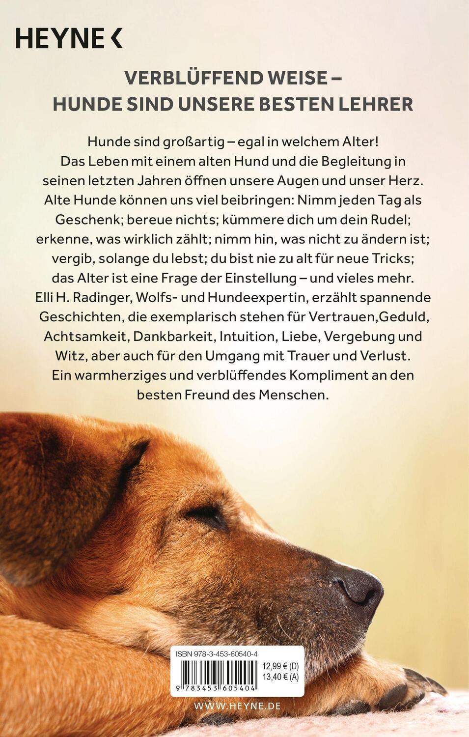 Bild: 9783453605404 | Die Weisheit alter Hunde | Elli H. Radinger | Taschenbuch | Deutsch