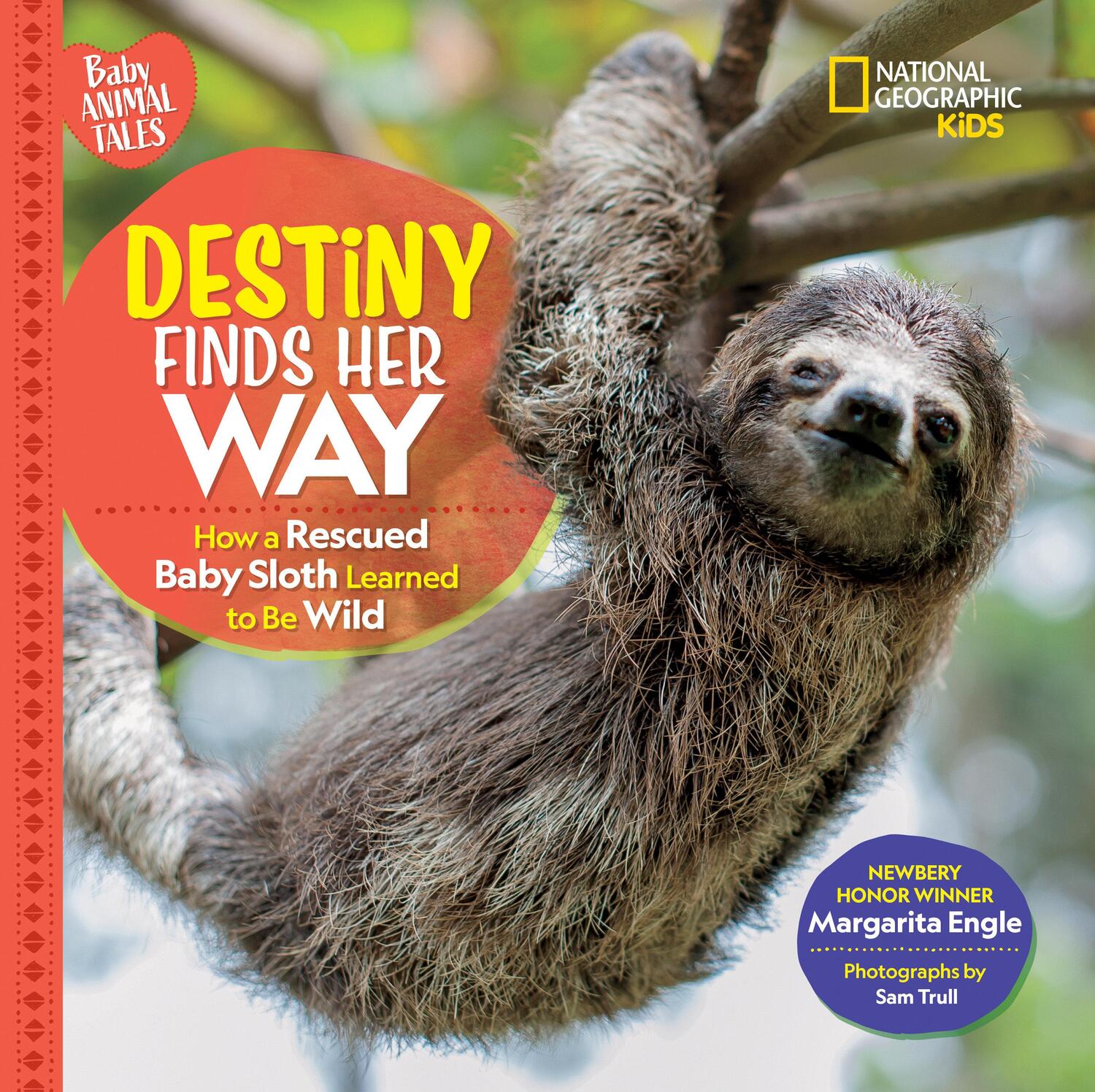 Cover: 9781426372346 | Destiny Finds Her Way | Margarita Engle (u. a.) | Buch | Gebunden