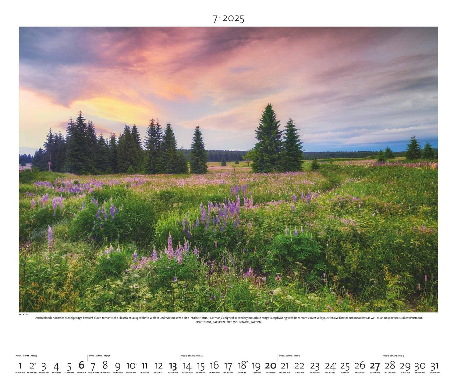 Bild: 4251734300744 | PALAZZI - Naturland Deutschland 2025 Wandkalender, 60x50cm,...