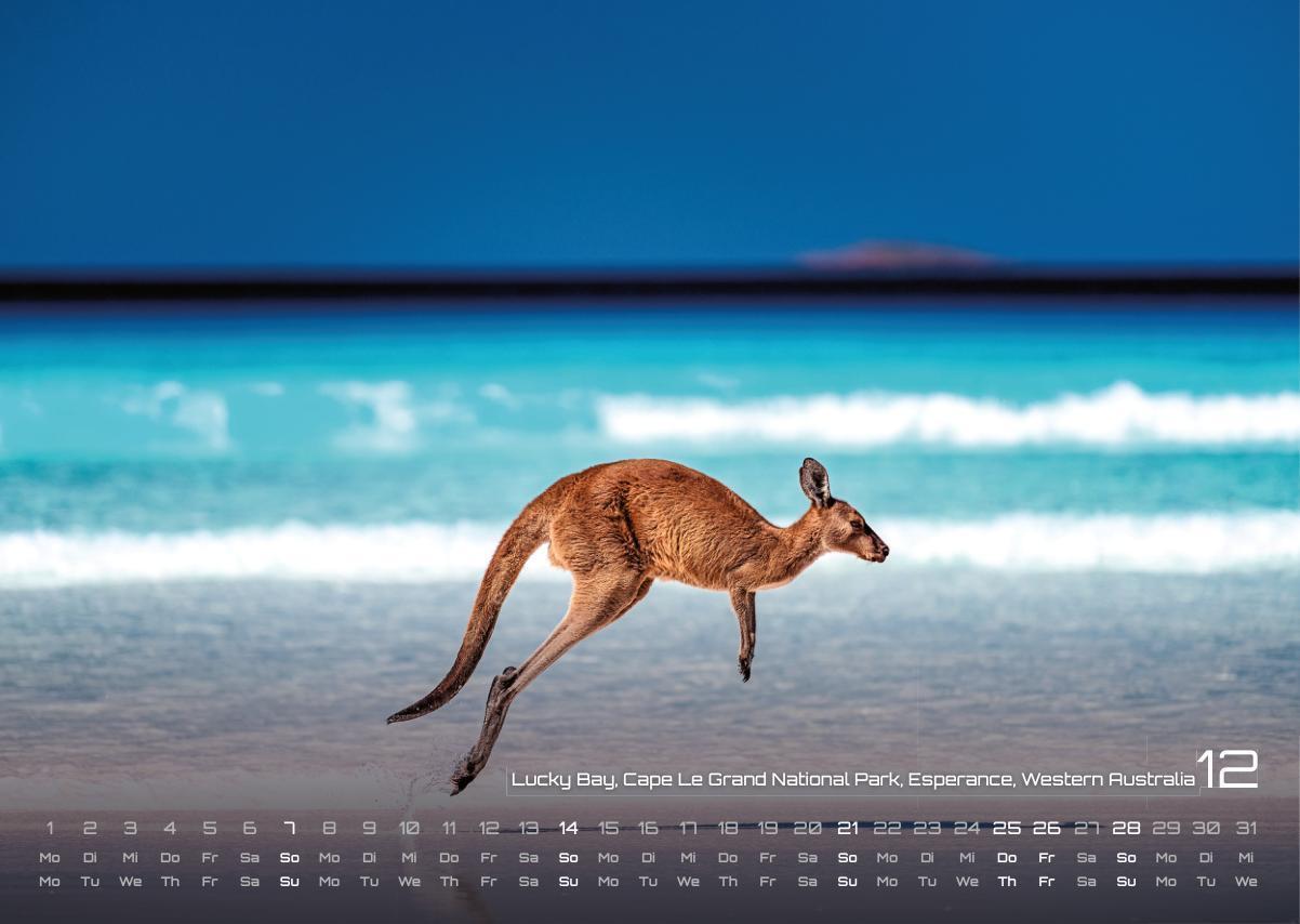 Bild: 9783986733803 | Australien - das Land der Kängurus - 2025 - Kalender DIN A3 | de