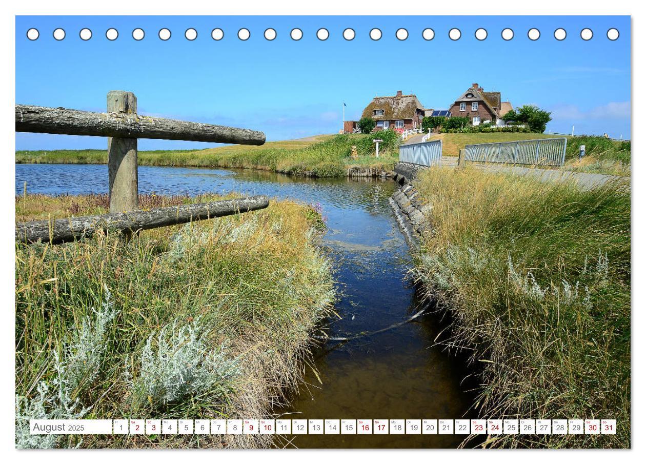 Bild: 9783435255801 | Sommertage auf Hallig Hooge (Tischkalender 2025 DIN A5 quer),...