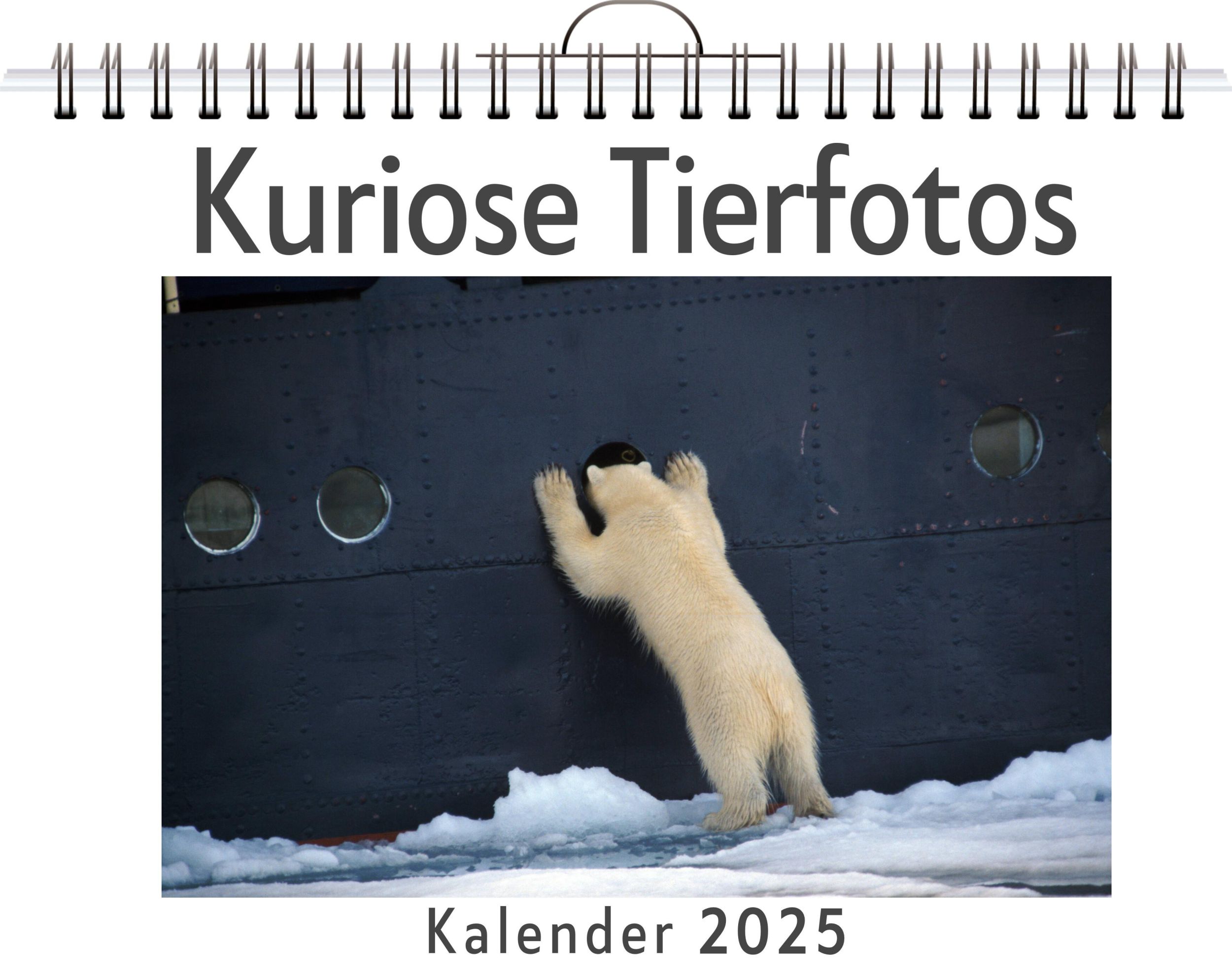 Cover: 9783759121158 | Kuriose Tierfotos | Lucas Schmitt | Kalender | Kalender | 14 S.