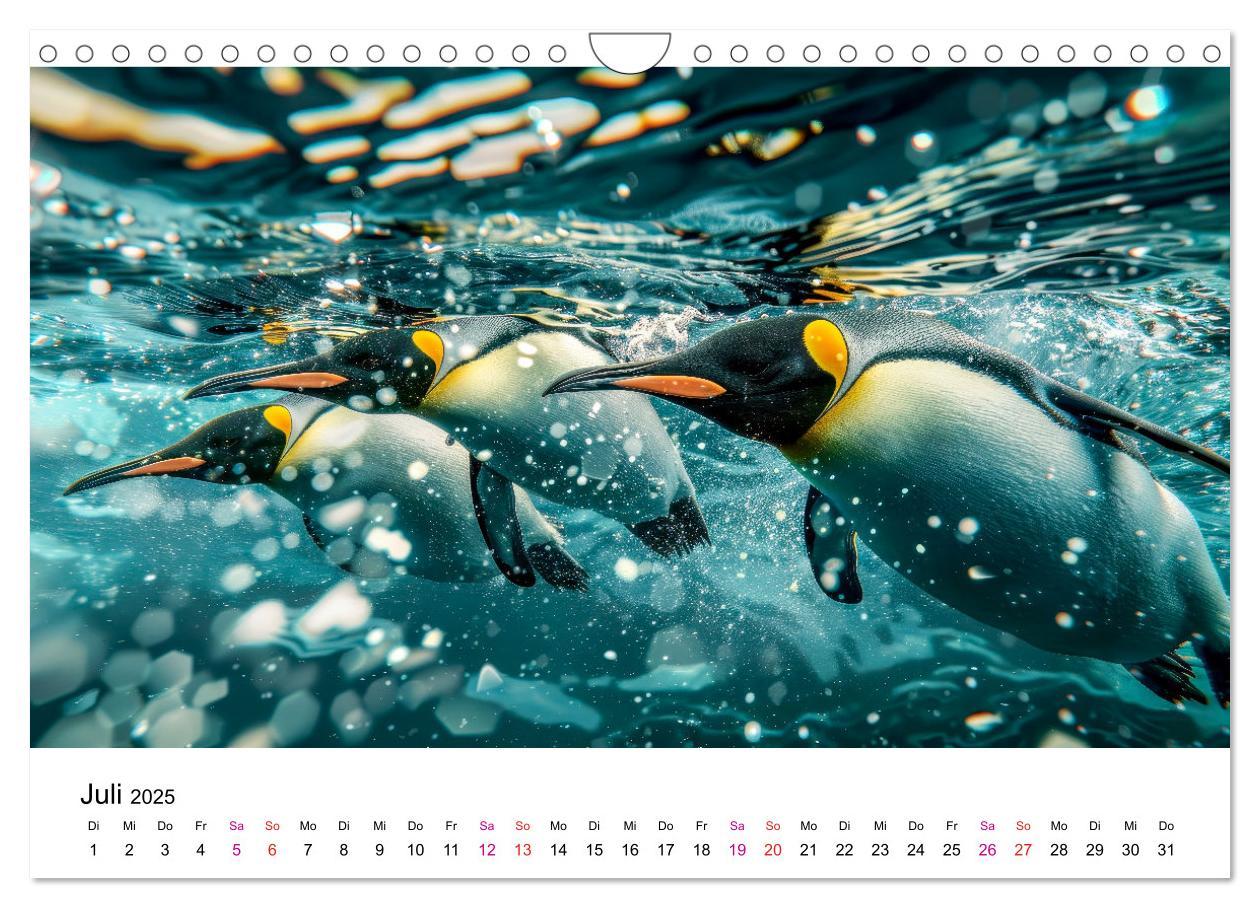 Bild: 9783457164389 | Maritim pur - Pinguine (Wandkalender 2025 DIN A4 quer), CALVENDO...