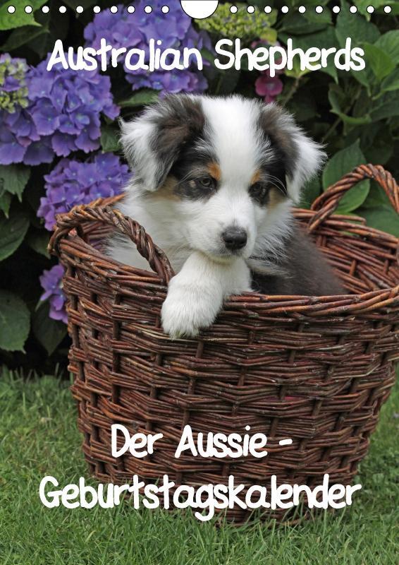 Cover: 9783660185393 | Der Aussie - Geburtstagskalender (Wandkalender immerwährend DIN A4...