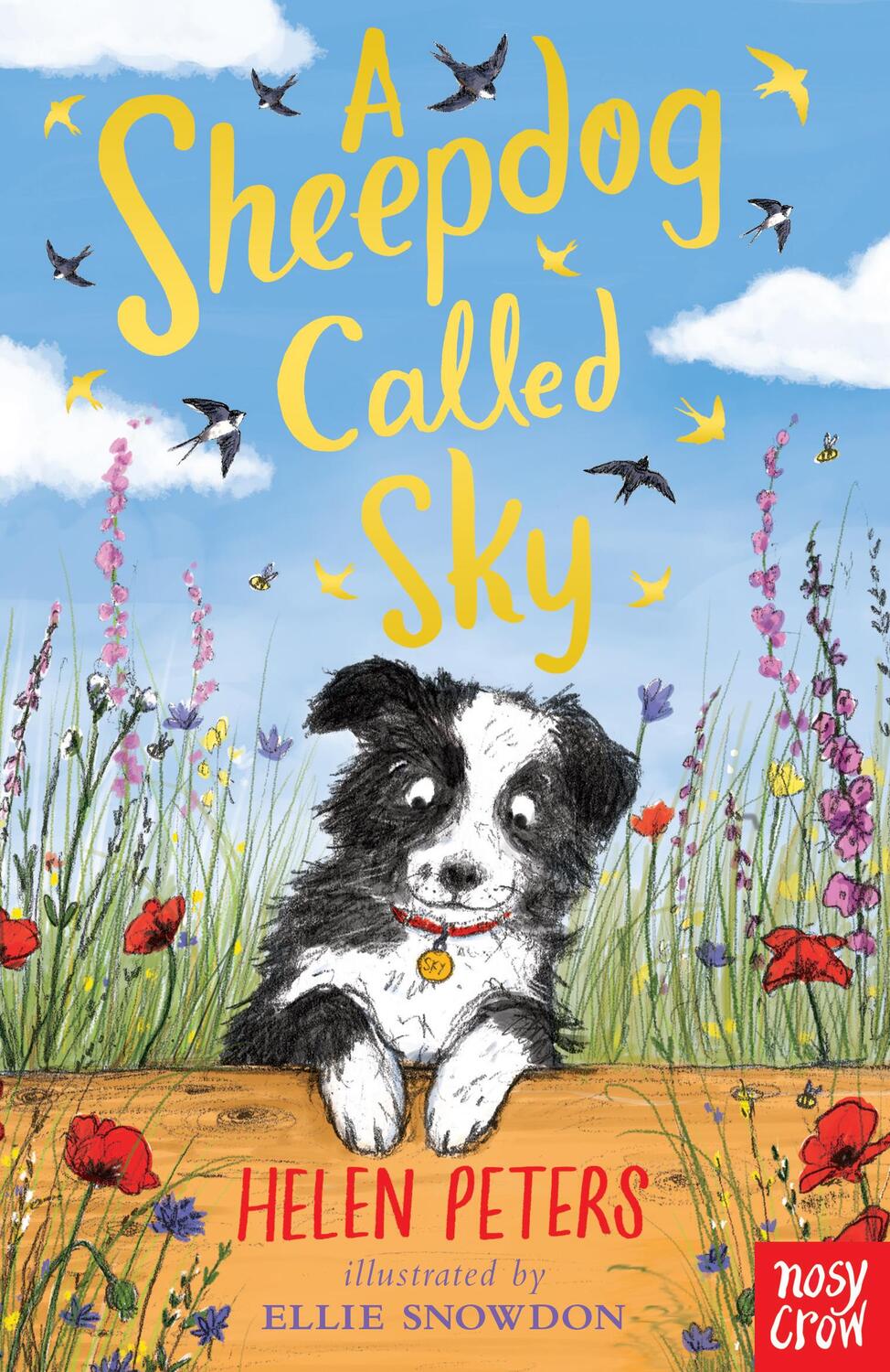 Cover: 9780857639110 | A Sheepdog Called Sky | Helen Peters | Taschenbuch | Englisch | 2017