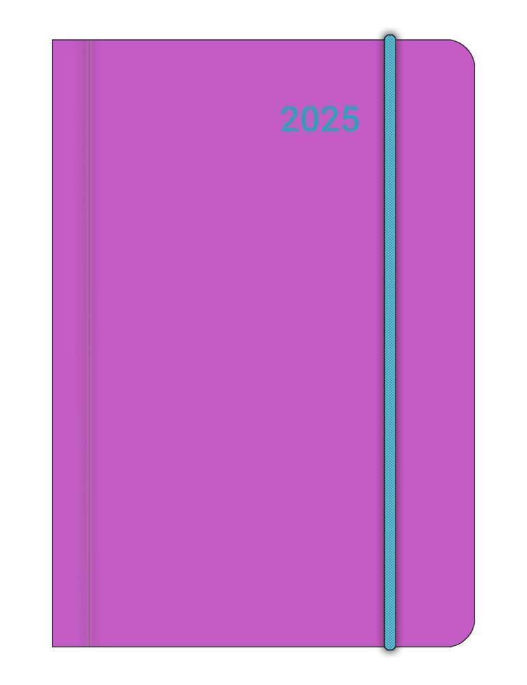 Cover: 4002725995087 | ELECTRIC RAVE 2025 - Diary - Buchkalender - Taschenkalender - 8x11,5