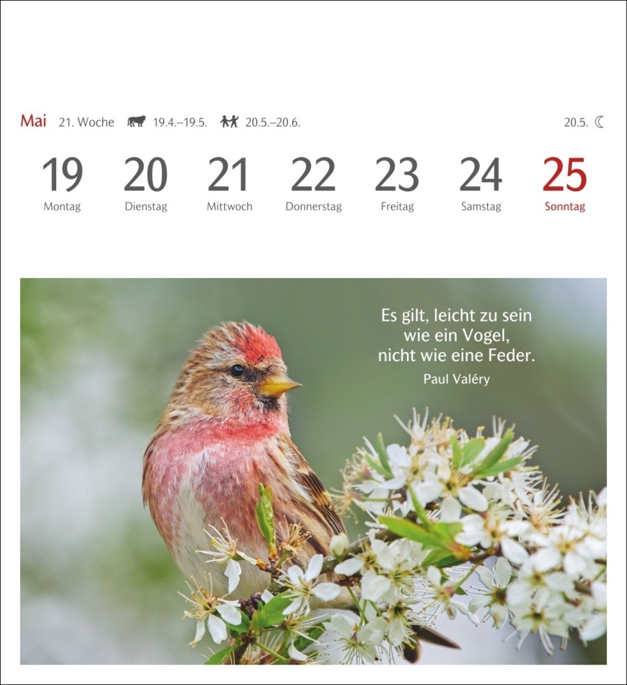 Bild: 9783840033834 | Momente des Glücks Postkartenkalender 2025 - Wochenkalender mit...