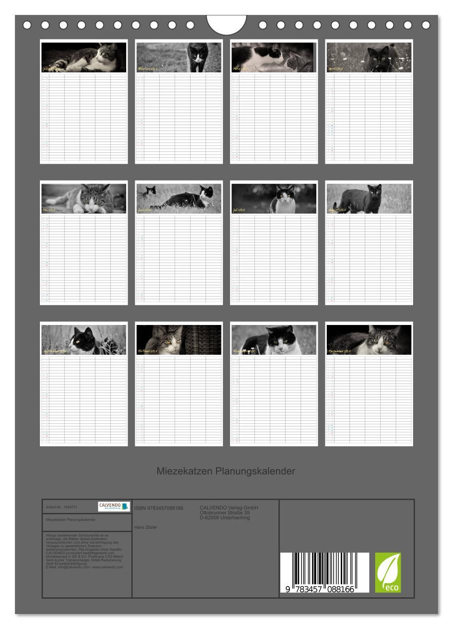 Bild: 9783457088166 | Miezekatzen Planungskalender (Wandkalender 2025 DIN A4 hoch),...