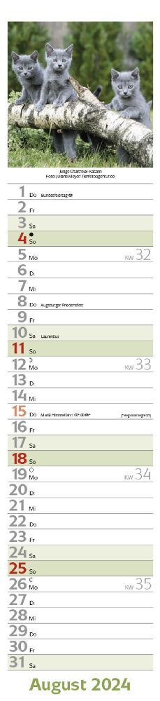 Bild: 9783731870364 | Katzen Langplaner 2024 | Langplaner | Korsch Verlag | Kalender | 13 S.