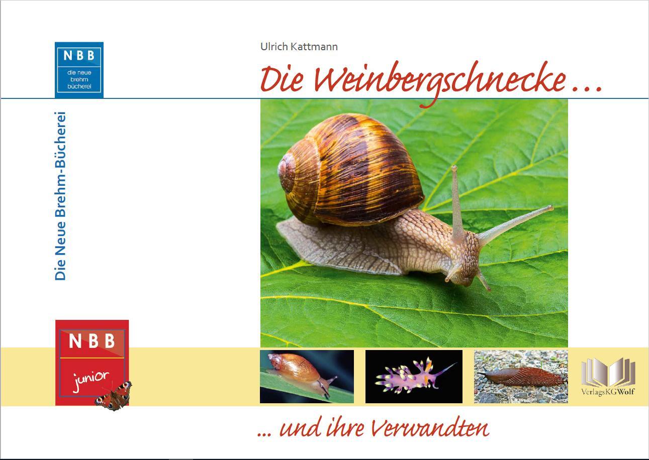 Cover: 9783894322755 | Die Weinbergschnecke und ihre Verwandten | Ulrich Kattmann | Buch