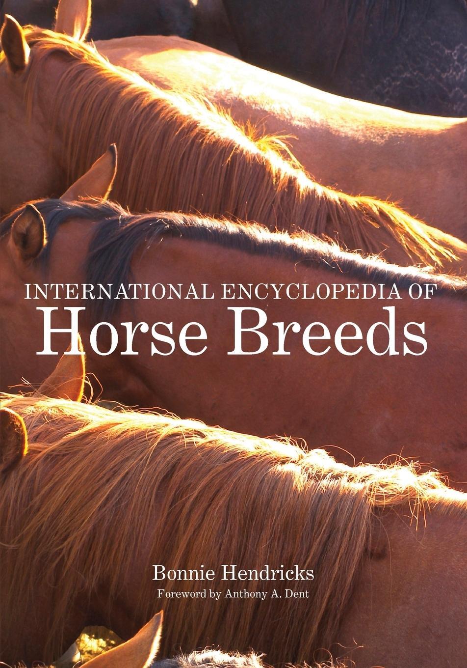 Cover: 9780806138848 | International Encyclopedia of Horse Breeds | Bonnie L Hendricks | Buch