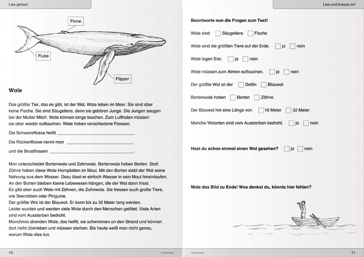 Bild: 9783981220797 | Ich kann lesen 3. Schüler-Arbeitsheft für die 2. und 3. Klasse | Buch