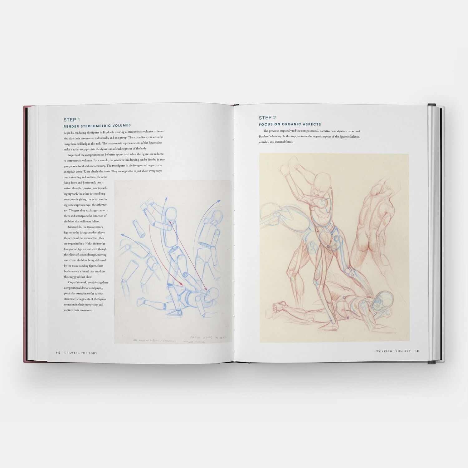 Bild: 9781580936453 | Drawing the Body | Reading the Human Form in Art | Roberto Osti | Buch