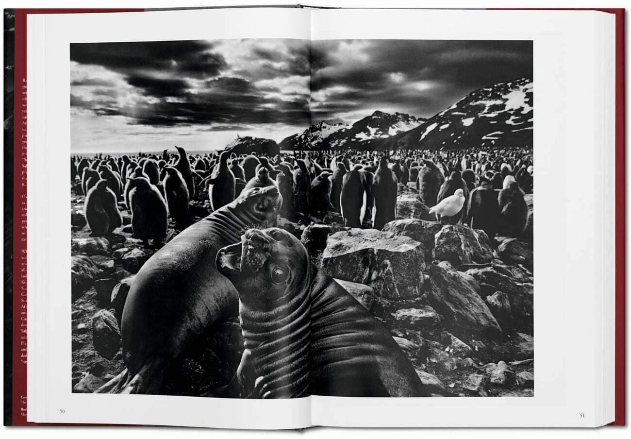 Bild: 9783836542616 | Sebastião Salgado. Genesis | Lélia Wanick Salgado | Buch | 520 S.