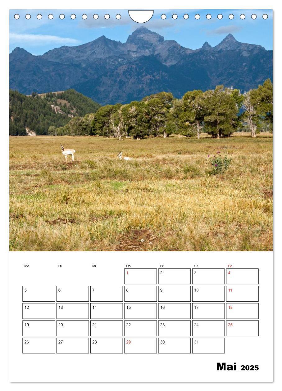 Bild: 9783457051634 | Yellowstone und Grand Tetons Nationalparks (Wandkalender 2025 DIN...