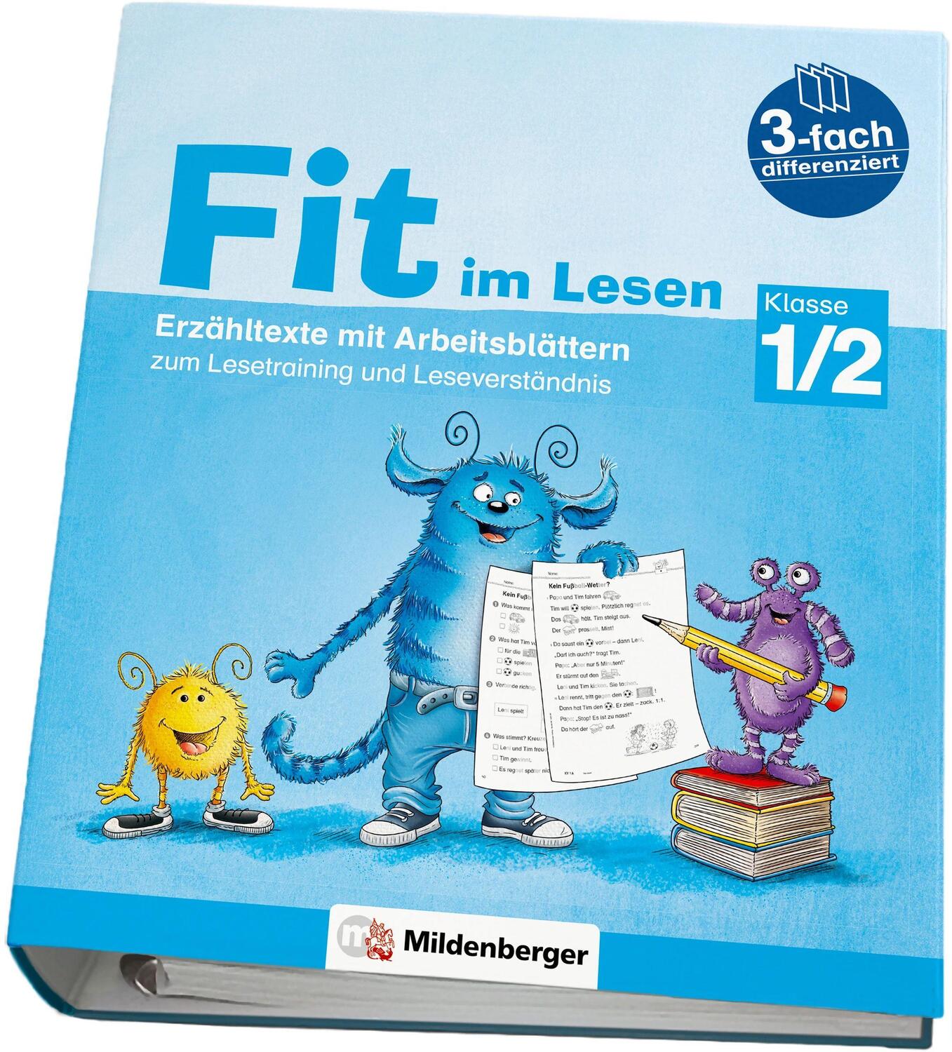 Cover: 9783619120383 | Fit im Lesen - Erzähltexte, Klasse 1/2 | Sabine Stehr (u. a.) | Stück