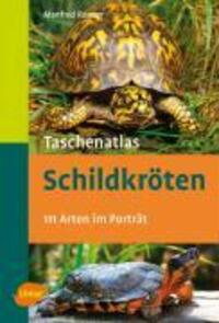 Cover: 9783800158669 | Taschenatlas Schildkröten | 112 Arten im Porträt | Manfred Rogner