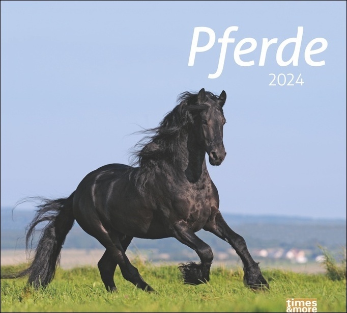 Cover: 9783756401130 | Pferde Bildkalender 2024. Tierkalender für Pferdefreunde. Kalender...