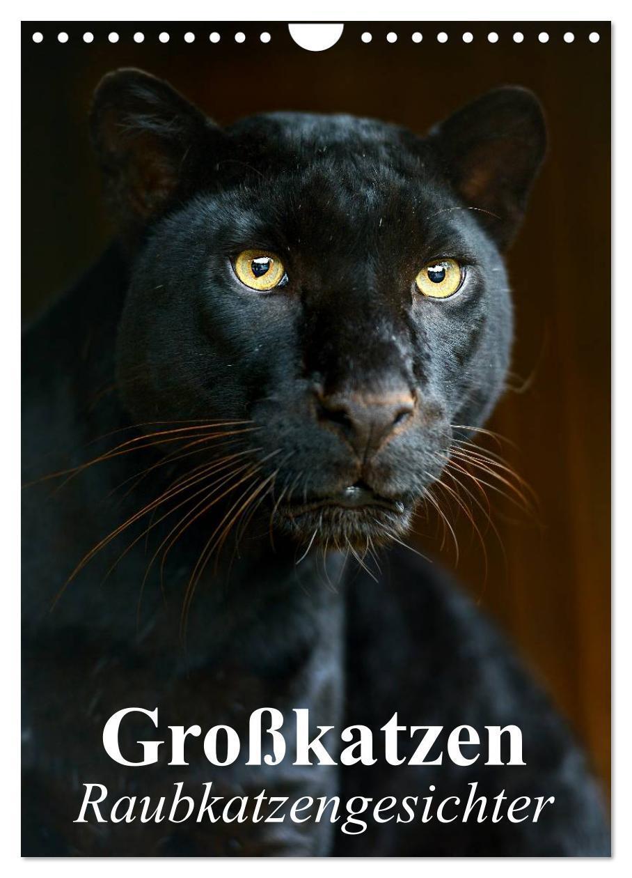 Cover: 9783383538902 | Großkatzen. Raubkatzengesichter (Wandkalender 2024 DIN A4 hoch),...