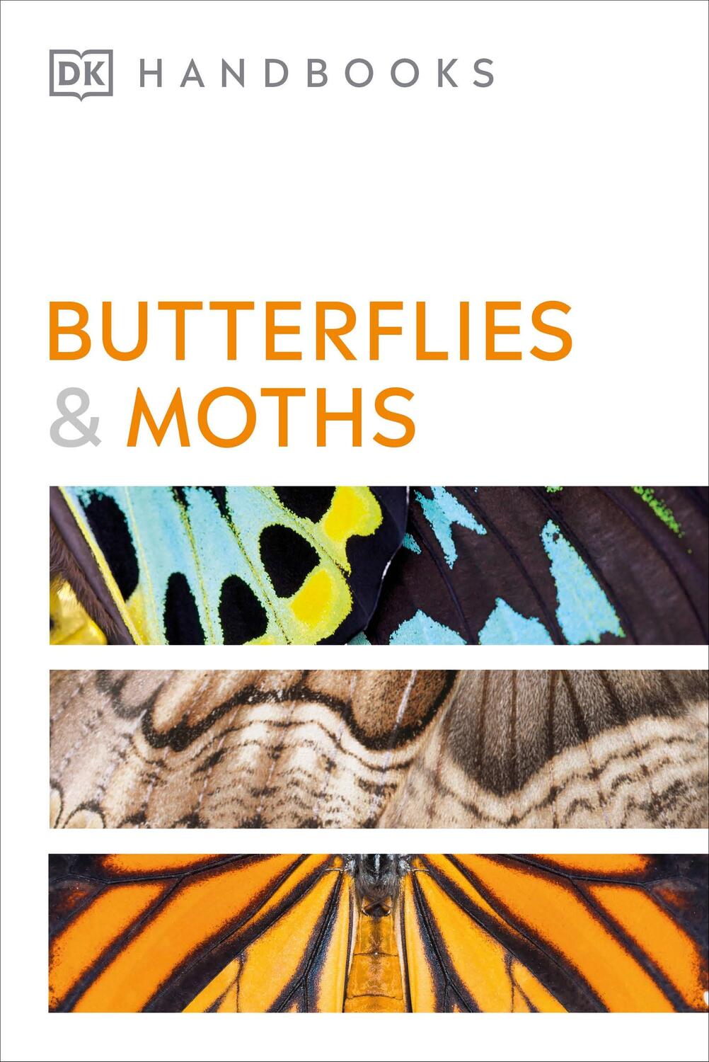 Cover: 9780241600993 | Butterflies and Moths | David Carter | Taschenbuch | Englisch | 2023