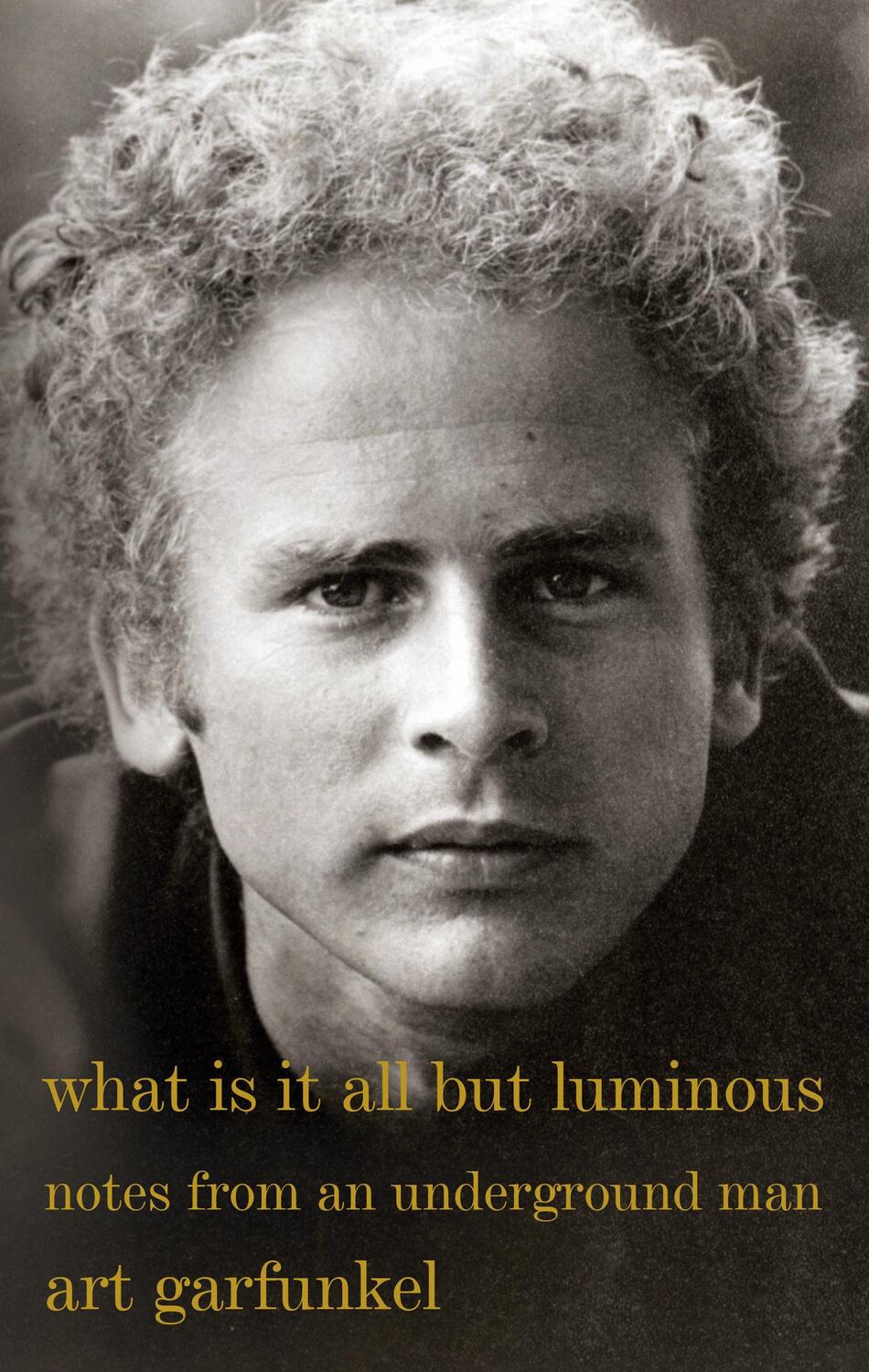 Cover: 9780525564393 | What Is It All But Luminous: Notes from an Underground Man | Garfunkel