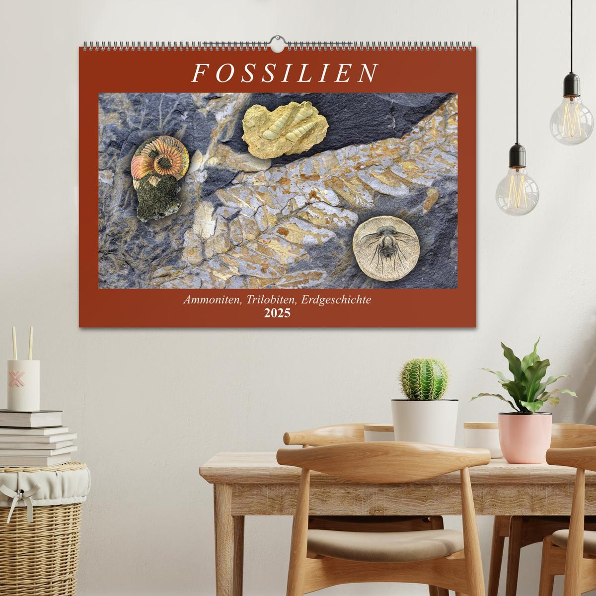 Bild: 9783435253517 | Fossilien - Ammoniten, Trilobiten, Erdgeschichte (Wandkalender 2025...