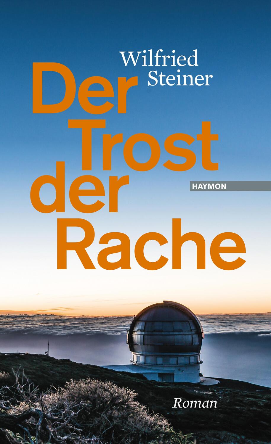 Cover: 9783709972762 | Der Trost der Rache | Roman | Wilfried Steiner | Buch | 280 S. | 2017