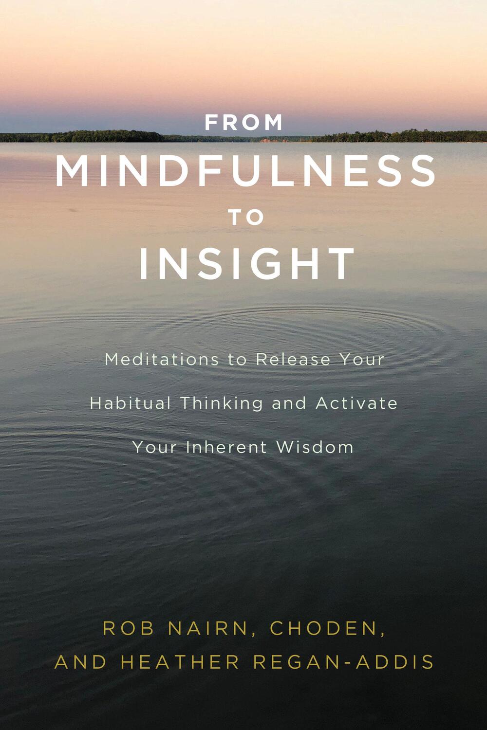 Cover: 9781611806793 | From Mindfulness to Insight | Rob Nairn (u. a.) | Taschenbuch | 2019
