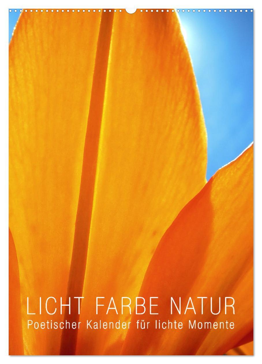 Cover: 9783675980235 | Licht Farbe Natur (Wandkalender 2024 DIN A2 hoch), CALVENDO...