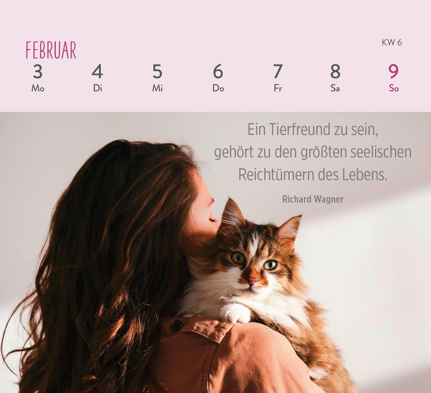 Bild: 4036442011935 | Mini-Wochenkalender 2025: Für Katzenfreunde | Groh Verlag | Kalender