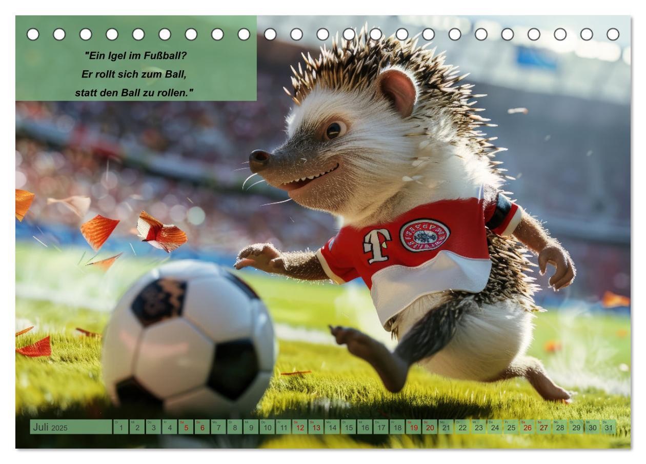 Bild: 9783457152829 | Der tierisch lustige Fußballkalender (Tischkalender 2025 DIN A5...