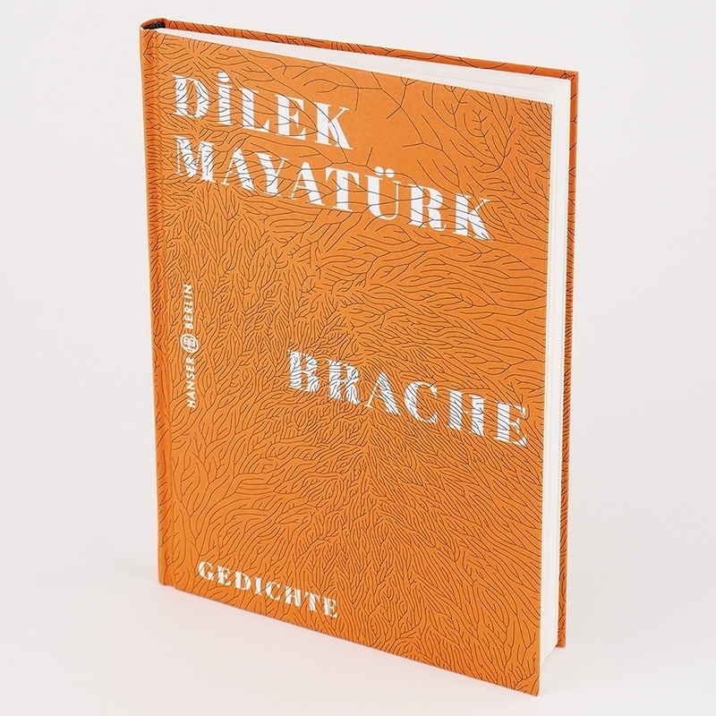 Bild: 9783446267862 | Brache | Gedichte | Dilek Mayatürk | Buch | Deutsch | 2020