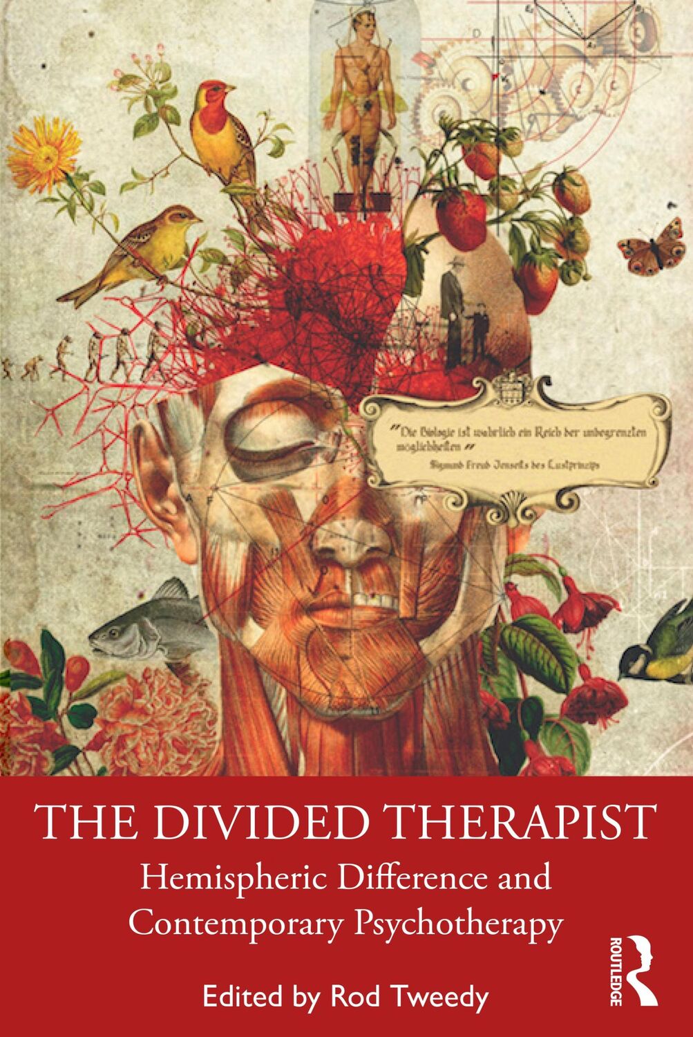 Cover: 9780367504427 | The Divided Therapist | Rod Tweedy | Taschenbuch | Englisch | 2020