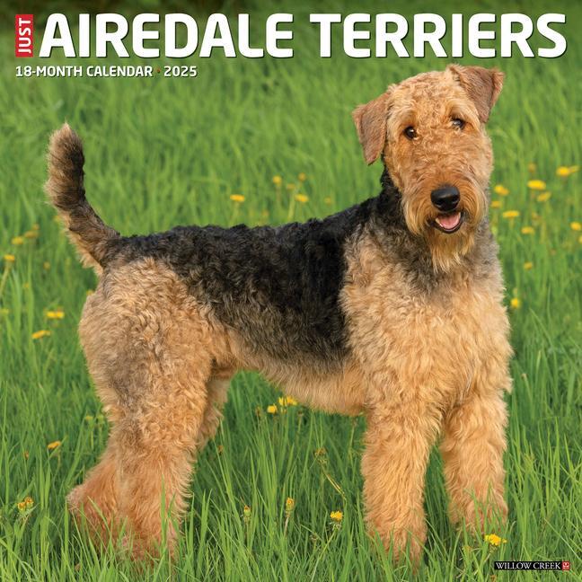 Cover: 9781549241253 | Just Airedale Terriers 2025 12 X 12 Wall Calendar | Willow Creek Press