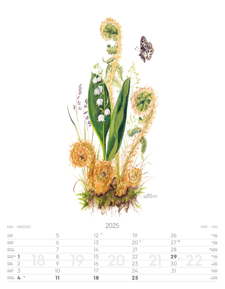 Bild: 9788868397432 | Alpenblumen-Aquarelle Kalender 2025 | Athesia-Tappeiner Verlag | 14 S.