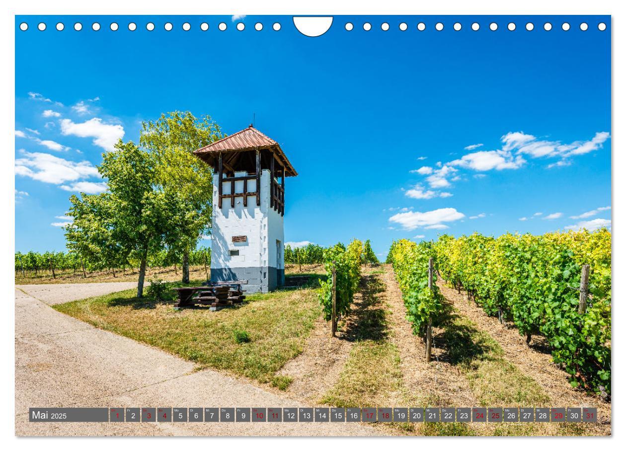 Bild: 9783383923791 | Weinberg-Architektur in Rheinhessen (Wandkalender 2025 DIN A4...