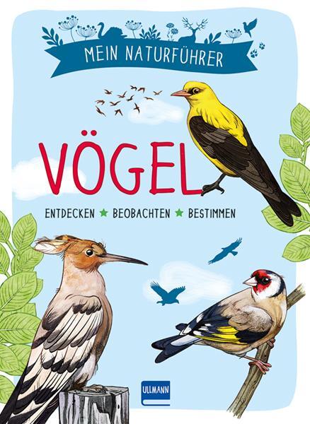 Cover: 9783741524646 | Mein Naturführer - Vögel | Beobachten · verstehen · schützen | Luchesi