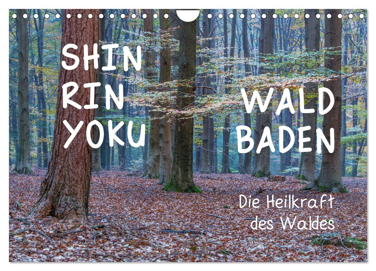 Cover: 9783435302376 | Shinrin yoku - Waldbaden 2025 (Wandkalender 2025 DIN A4 quer),...