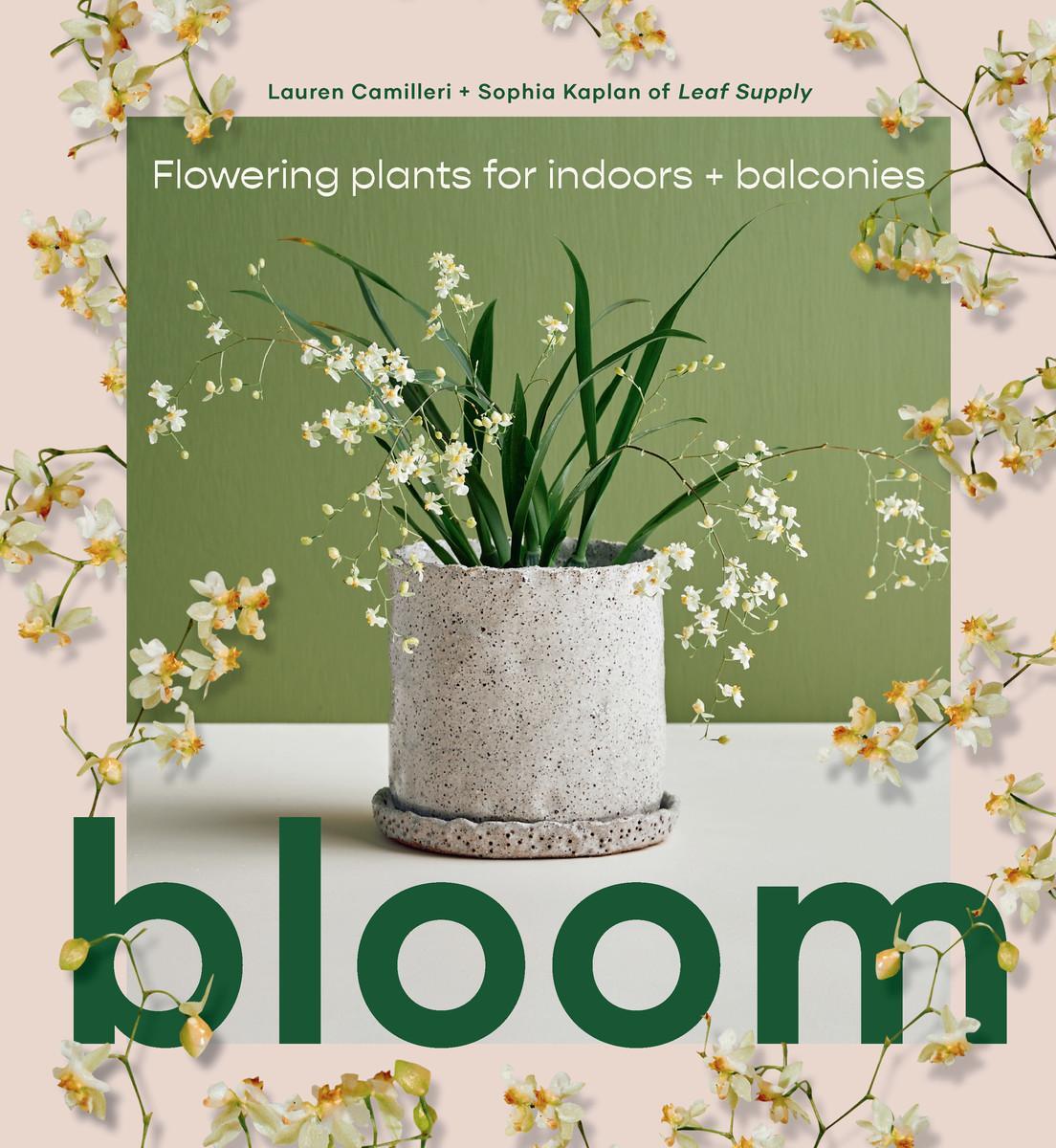 Cover: 9781922417855 | Bloom | Flowering Plants for Indoors and Balconies | Camilleri (u. a.)